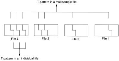 Post-processing T-patterns Using External Tools From a Mixed Method Perspective